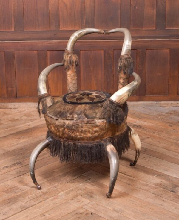 19th Century Cow Horn Arm Chair SAI2095 Antique Furniture 3