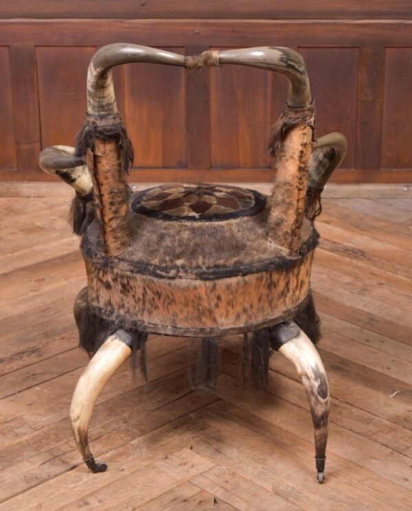 19th Century Cow Horn Arm Chair SAI2095 Antique Furniture 9