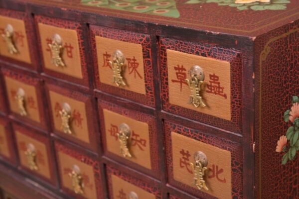 Painted Chinese Apothecary Chest On Stand SAI2183 - Image 15