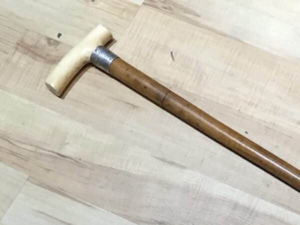 Gentleman’s walking stick sword stick with silver collar - Image 3