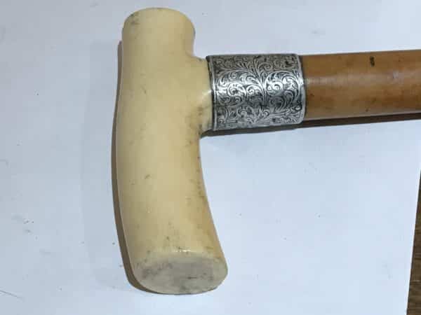 Gentleman’s walking stick sword stick with silver collar - Image 10