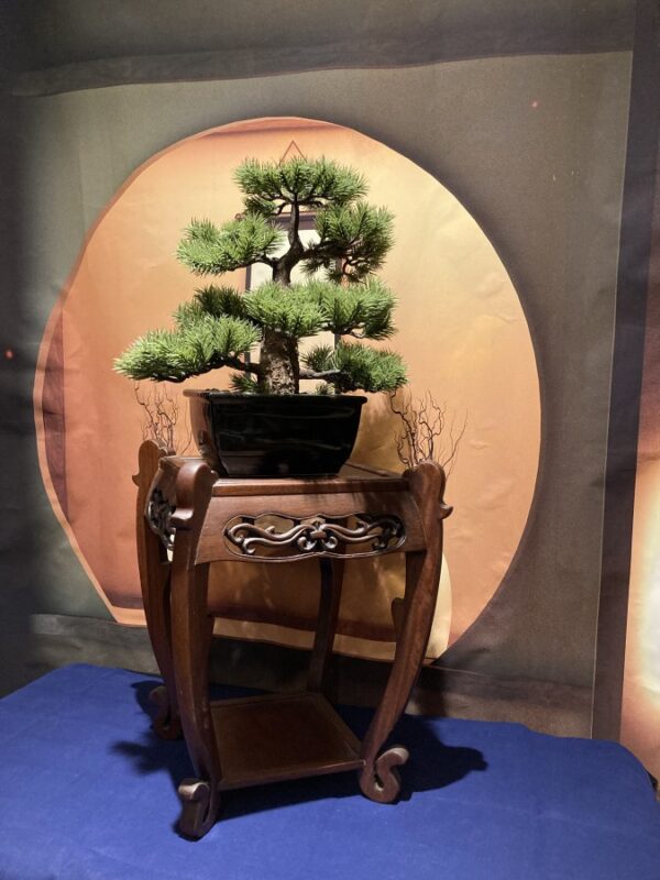 Bonsai table
