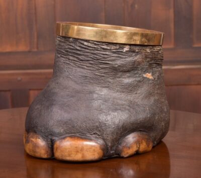 Victorian Taxidermy Elephants Foot Waste Paper Bin SAI2096 Antique Furniture 3