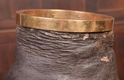 Victorian Taxidermy Elephants Foot Waste Paper Bin SAI2096 - Image 3