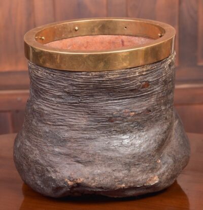 Victorian Taxidermy Elephants Foot Waste Paper Bin SAI2096 - Image 4