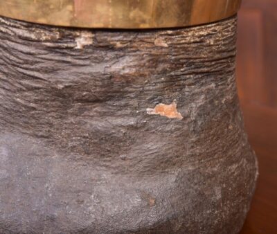 Victorian Taxidermy Elephants Foot Waste Paper Bin SAI2096 - Image 5