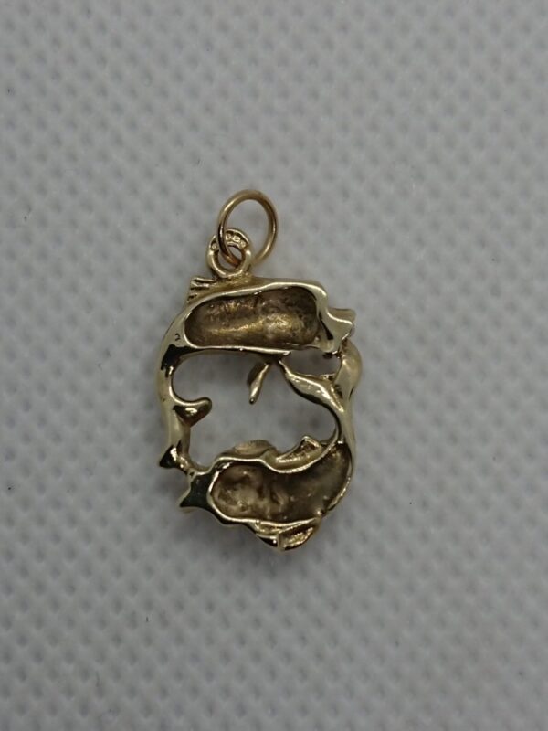 9ct Gold Pisces Charm Miscellaneous 4