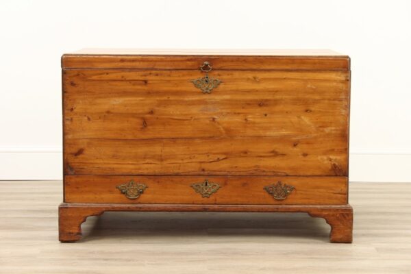 Victorian Yew Wood Mule Chest - Image 2
