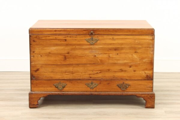 Victorian Yew Wood Mule Chest Antique Antique Chests 5