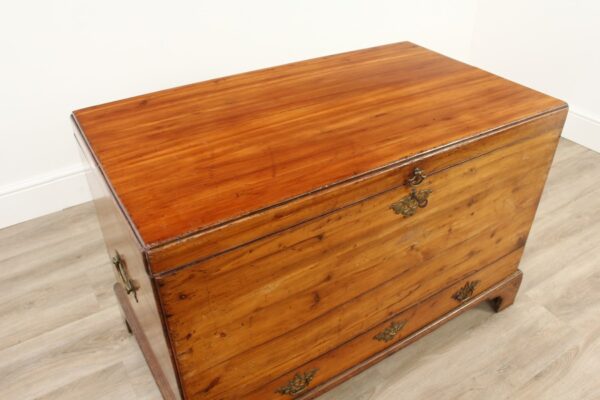 Victorian Yew Wood Mule Chest - Image 4