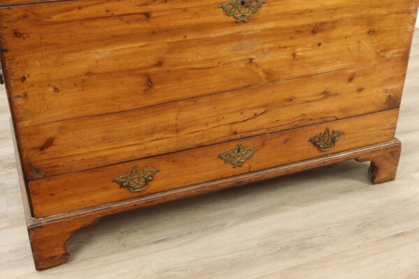 Victorian Yew Wood Mule Chest - Image 5