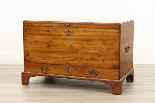Victorian Yew Wood Mule Chest - Image 7