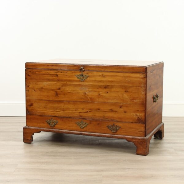 Victorian Yew Wood Mule Chest
