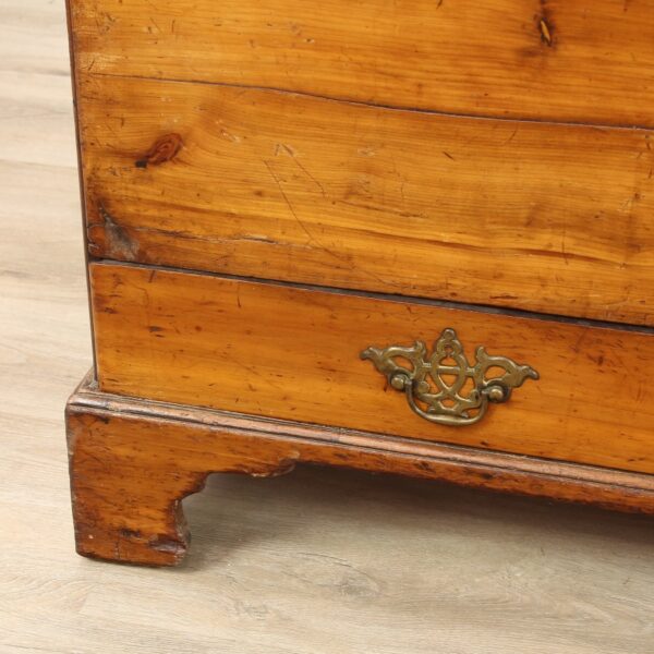 Victorian Yew Wood Mule Chest - Image 8