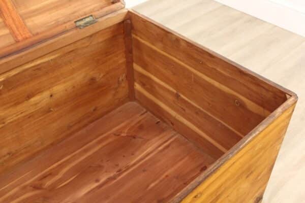Victorian Yew Wood Mule Chest - Image 12