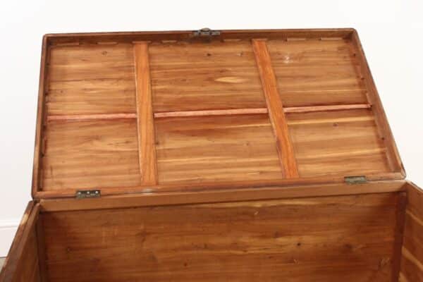 Victorian Yew Wood Mule Chest - Image 13
