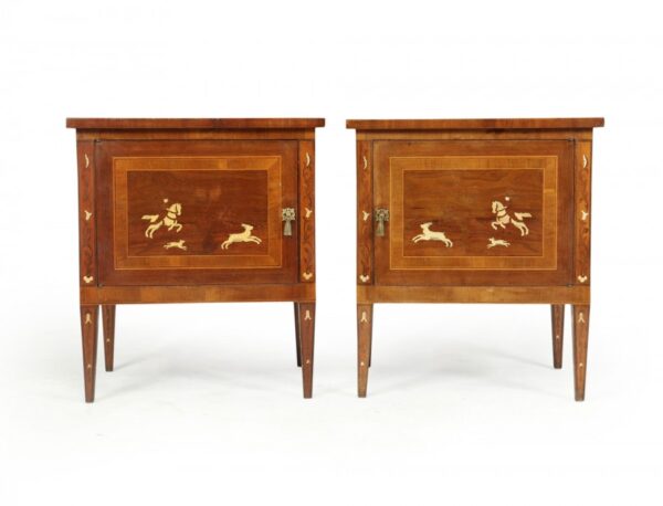 Pair of Italian Neoclassical Inlaid bedside Cabinets - Image 13