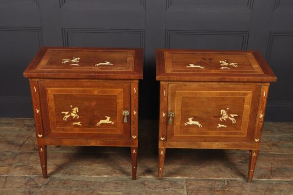 Pair of Italian Neoclassical Inlaid bedside Cabinets - Image 11