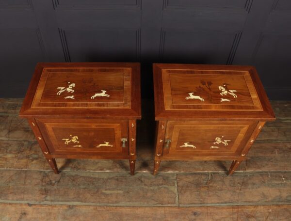 Pair of Italian Neoclassical Inlaid bedside Cabinets Antique Cabinets 12