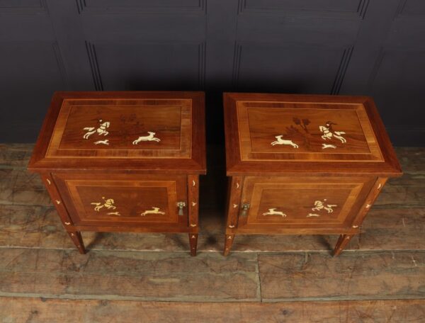 Pair of Italian Neoclassical Inlaid bedside Cabinets - Image 10