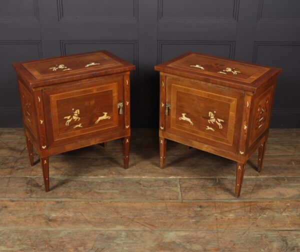 Pair of Italian Neoclassical Inlaid bedside Cabinets Antique Cabinets 9