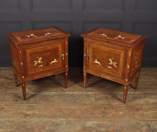 Pair of Italian Neoclassical Inlaid bedside Cabinets - Image 7
