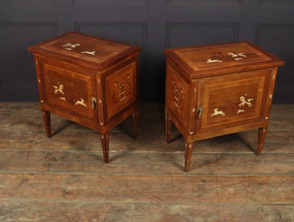 Pair of Italian Neoclassical Inlaid bedside Cabinets - Image 6