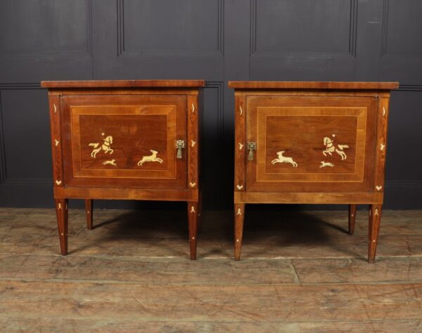 Pair of Italian Neoclassical Inlaid bedside Cabinets - Image 3