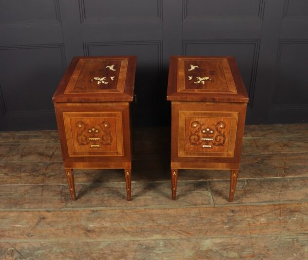 Pair of Italian Neoclassical Inlaid bedside Cabinets - Image 2