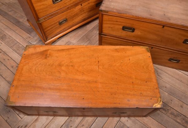 Fantastic 19th Century Camphor Wood 3 Part Campaign Chest SAI2011 - Image 5