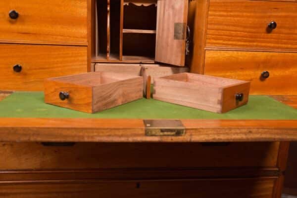 Fantastic 19th Century Camphor Wood 3 Part Campaign Chest SAI2011 - Image 15