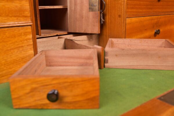 Fantastic 19th Century Camphor Wood 3 Part Campaign Chest SAI2011 - Image 16