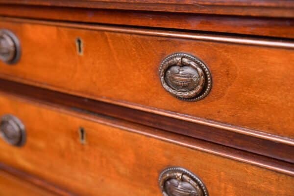 Edwardian Bank Of Drawers SAI2038 - Image 8
