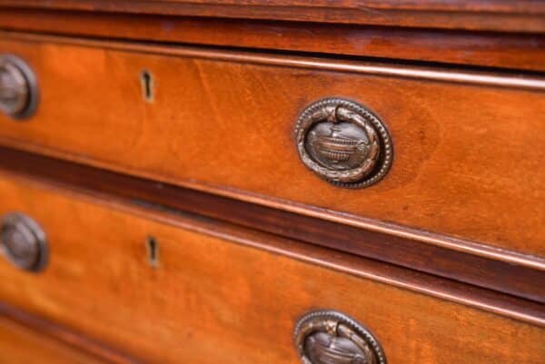 Edwardian Bank Of Drawers SAI2038 Antique Furniture 10