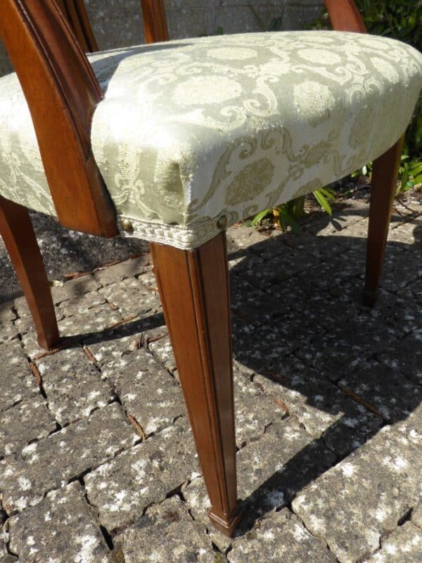 Set of 6 mahogany dining chairs including 2 carvers circa 1880. - Image 9