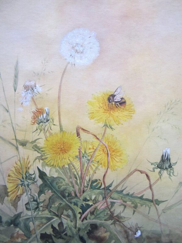 Botanicals – Original Watercolours vintage painting, watercolours, botanicals, insects Antique Art 3