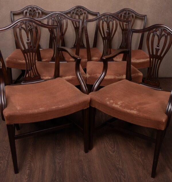 Set Of 8 19th Century Hepplewhite Dining Chairs SAI1413 Antique Furniture 5