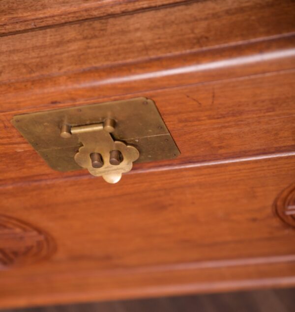 Stunning Chinese Camphor Wood Storage Box SAI1446 - Image 16