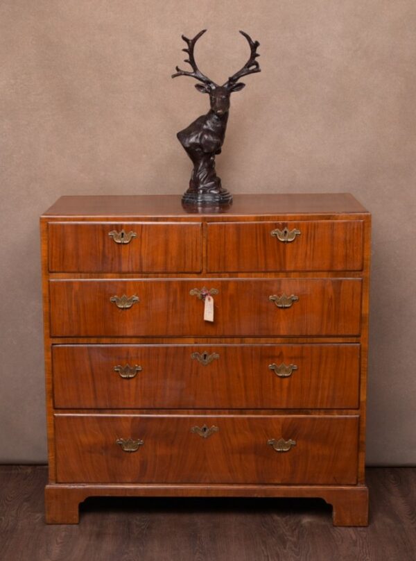 Georgian Walnut 2 Over 3 Chest Of Drawers SAI1497 Antique Furniture 18