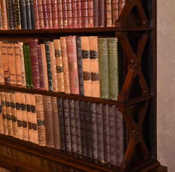 Superb Victorian Rosewood Bookcase SAI1365 Antique Furniture 9