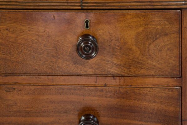 Regency magogany chest of drawers c1820 - Image 4