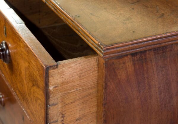 Regency magogany chest of drawers c1820 Antique Draws 5