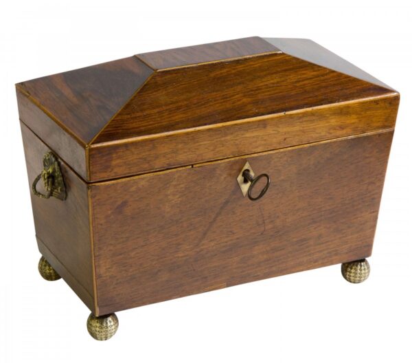 Regency rosewood tea caddy Antique Boxes 3