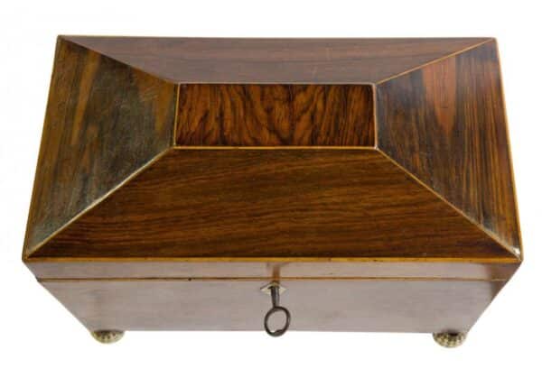 Regency rosewood tea caddy Antique Boxes 5