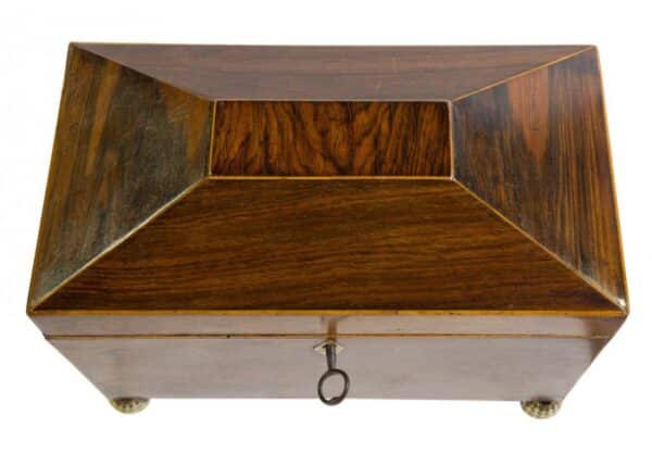 Regency rosewood tea caddy - Image 3