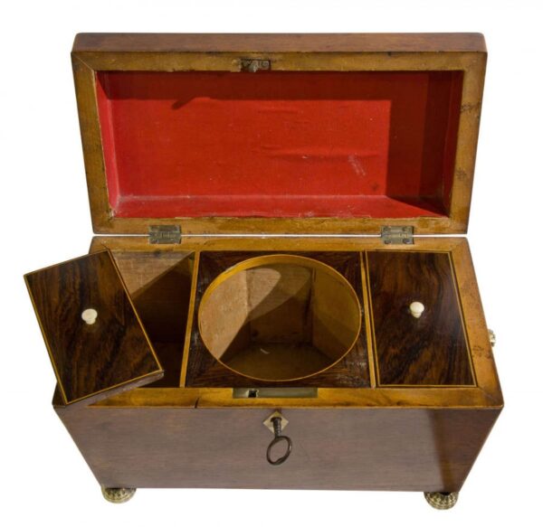 Regency rosewood tea caddy Antique Boxes 4