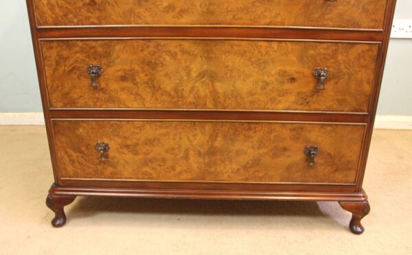 Burr Walnut Chest of Drawers - Image 8