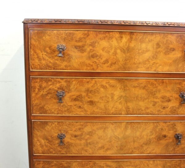 Burr Walnut Chest of Drawers - Image 5