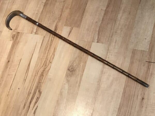 Superb Gentleman’s walking stick sword stick with silver mounts Miscellaneous 4