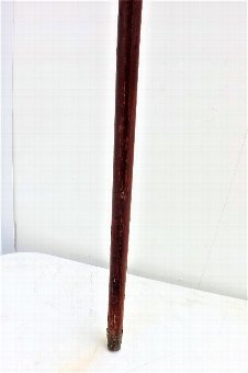 Gentleman’s sword stick with horn and metal mount Miscellaneous 5